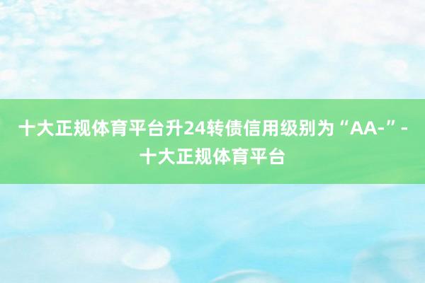 十大正规体育平台升24转债信用级别为“AA-”-十大正规体育平台