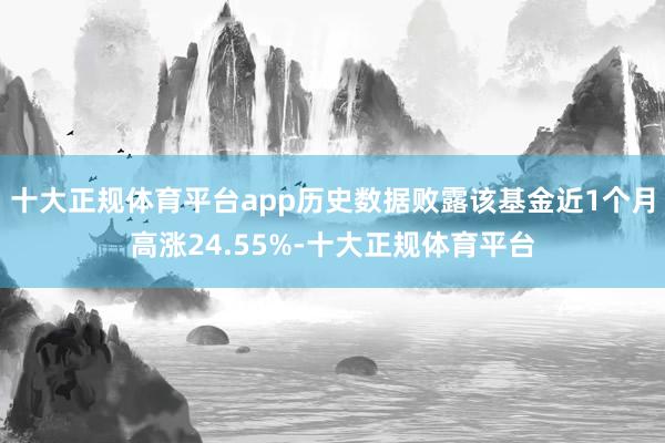 十大正规体育平台app历史数据败露该基金近1个月高涨24.55%-十大正规体育平台