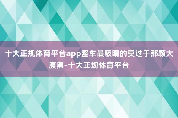 十大正规体育平台app整车最吸睛的莫过于那颗大腹黑-十大正规体育平台