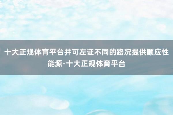 十大正规体育平台并可左证不同的路况提供顺应性能源-十大正规体育平台