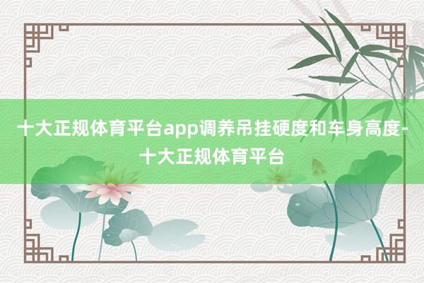 十大正规体育平台app调养吊挂硬度和车身高度-十大正规体育平台