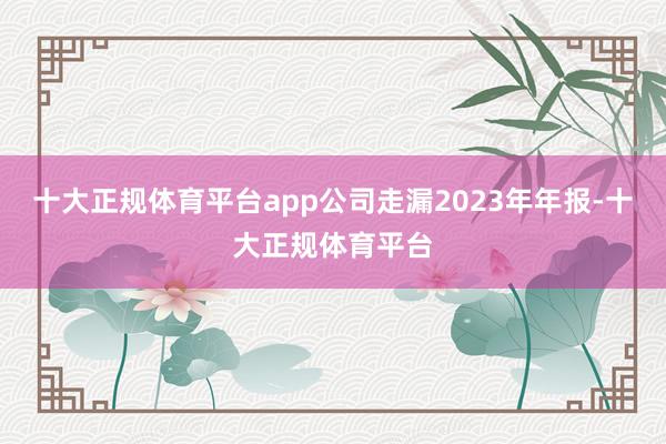 十大正规体育平台app公司走漏2023年年报-十大正规体育平台