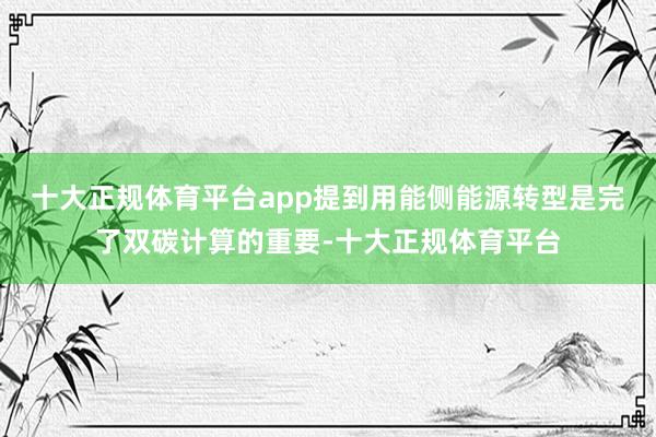 十大正规体育平台app提到用能侧能源转型是完了双碳计算的重要-十大正规体育平台