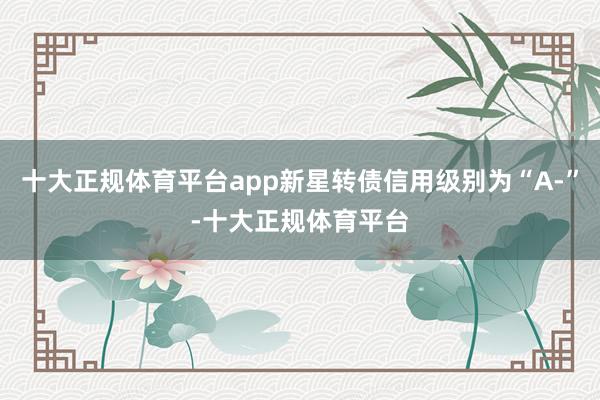 十大正规体育平台app新星转债信用级别为“A-”-十大正规体育平台