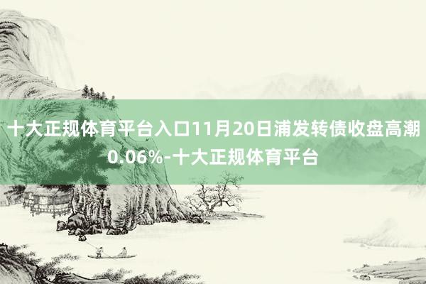 十大正规体育平台入口11月20日浦发转债收盘高潮0.06%-十大正规体育平台