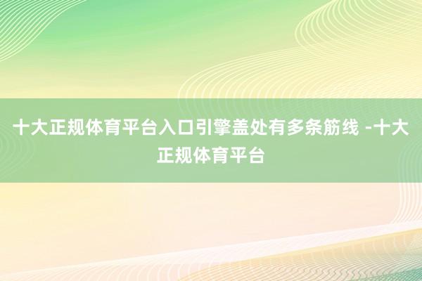 十大正规体育平台入口引擎盖处有多条筋线 -十大正规体育平台