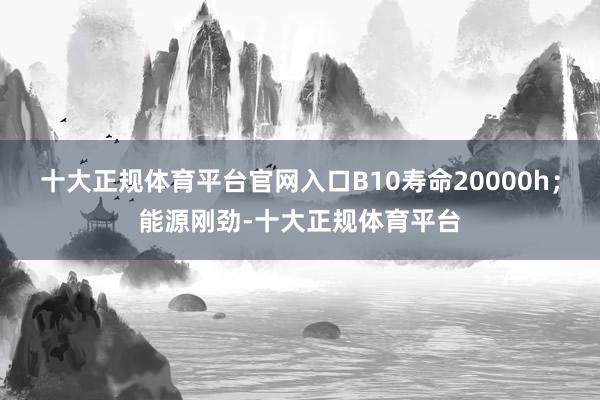 十大正规体育平台官网入口B10寿命20000h；能源刚劲-十大正规体育平台