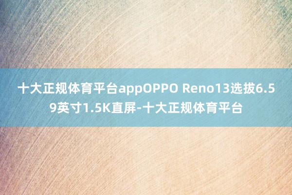 十大正规体育平台appOPPO Reno13选拔6.59英寸1.5K直屏-十大正规体育平台