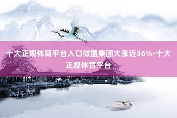 十大正规体育平台入口微盟集团大涨近36%-十大正规体育平台