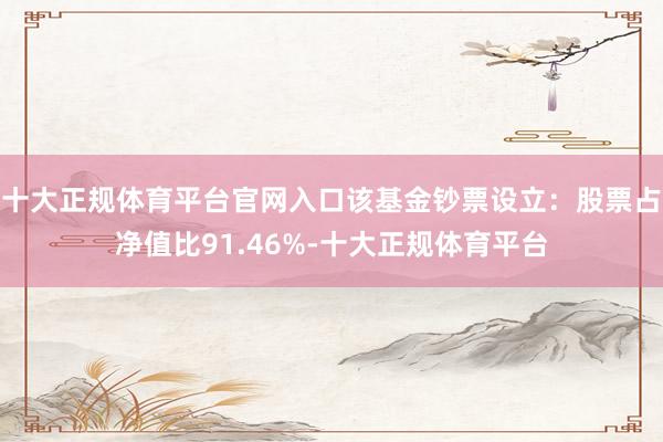 十大正规体育平台官网入口该基金钞票设立：股票占净值比91.46%-十大正规体育平台