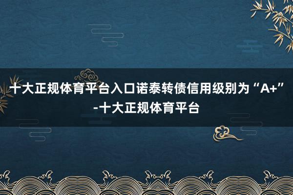 十大正规体育平台入口诺泰转债信用级别为“A+”-十大正规体育平台