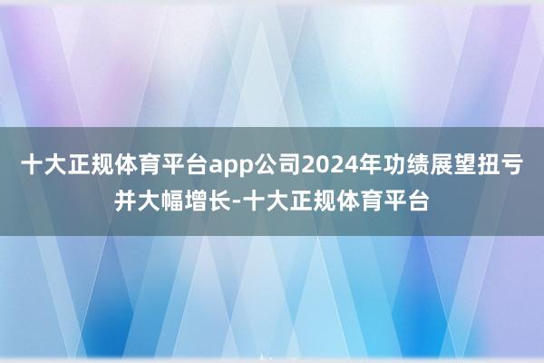 十大正规体育平台app公司2024年功绩展望扭亏并大幅增长-十大正规体育平台