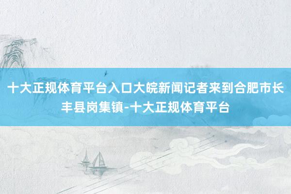 十大正规体育平台入口大皖新闻记者来到合肥市长丰县岗集镇-十大正规体育平台