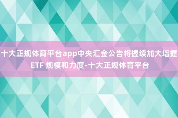 十大正规体育平台app中央汇金公告将握续加大增握 ETF 规模和力度-十大正规体育平台