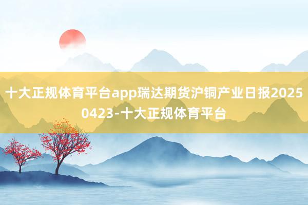 十大正规体育平台app瑞达期货沪铜产业日报20250423-十大正规体育平台