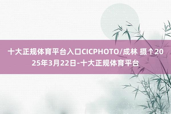 十大正规体育平台入口CICPHOTO/成林 摄↑2025年3
