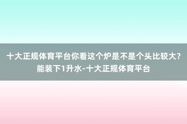 十大正规体育平台你看这个炉是不是个头比较大？能装下1升水-十