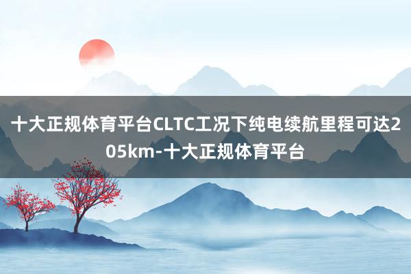 十大正规体育平台CLTC工况下纯电续航里程可达205km-十