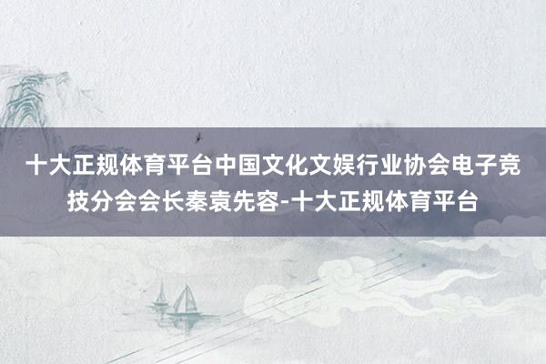 十大正规体育平台 中国文化文娱行业协会电子竞技分会会长秦袁先容-十大正规体育平台