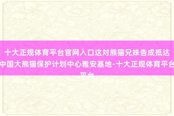 十大正规体育平台官网入口这对熊猫兄妹告成抵达中国大熊猫保护计
