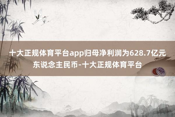 十大正规体育平台app归母净利润为628.7亿元东说念主民币-十大正规体育平台
