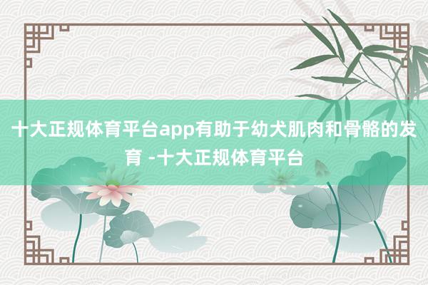 十大正规体育平台app有助于幼犬肌肉和骨骼的发育 -十大正规