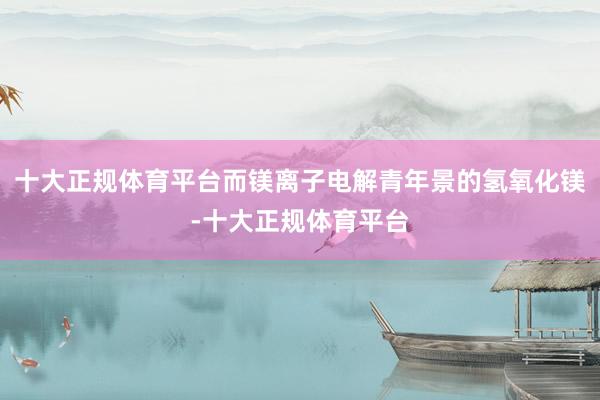 十大正规体育平台而镁离子电解青年景的氢氧化镁-十大正规体育平